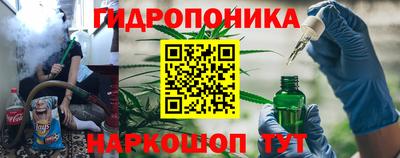 прущие грибы Гусь-Хрустальный
