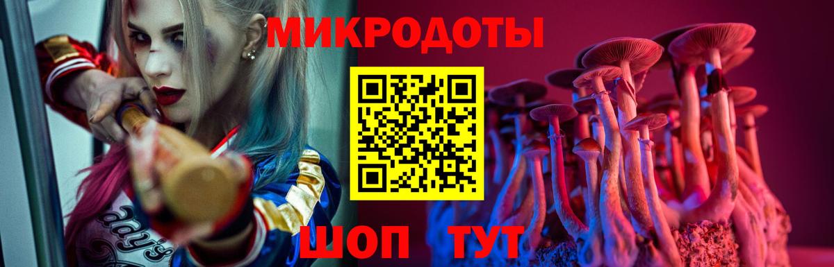 Новошахтинск  Псилоцибиновые грибы Psilocybine cubensis  Вход с VPN 